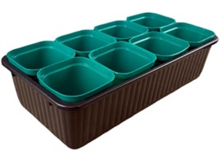 Набор для рассады "Сеньор Помидор"  ящик 30*15*8 см стаканчики 8 шт по 0,25л