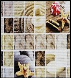 Коврик для в/к Vilina 0,80*15м   FV8